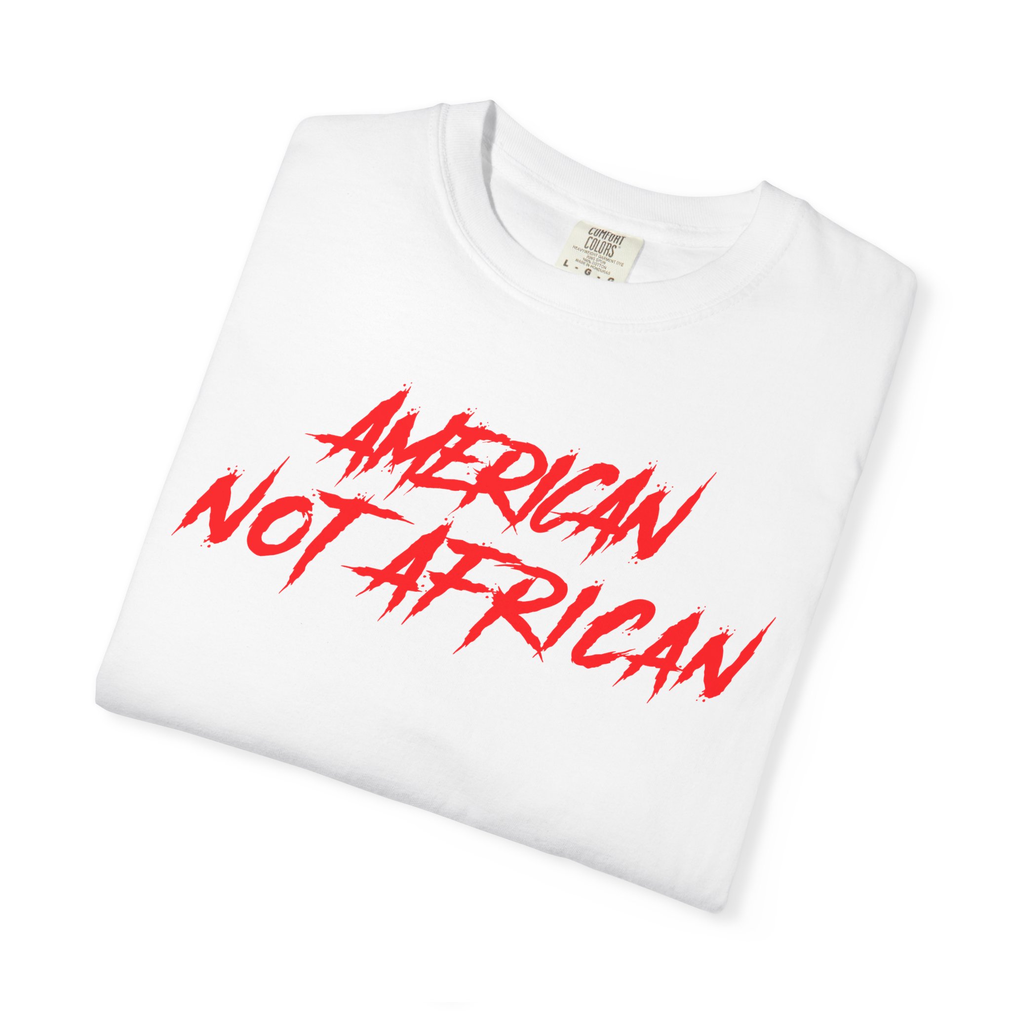 American Not African T-Shirt - Image 4